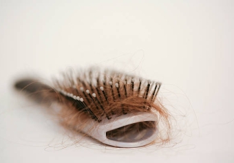 Is It Possible To Reverse Hair Loss By Eating A Plant-Based Diet?